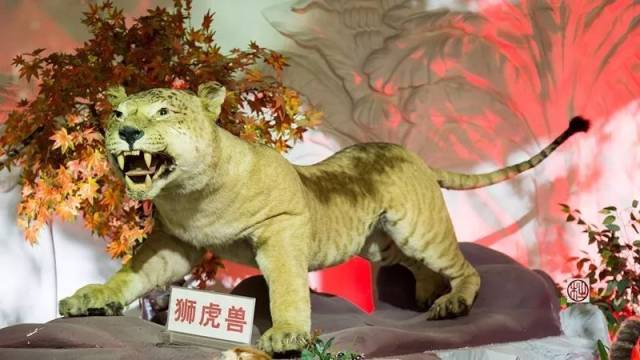 自行车夜战：闽南飞鹰队鏖战江汉犀牛队，速度优势明显回归即成焦点的简单介绍
